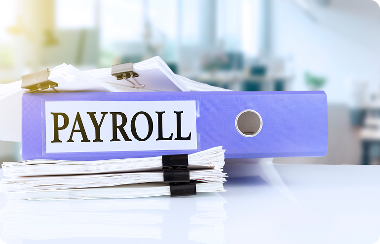 Professional team using HRPayHub software